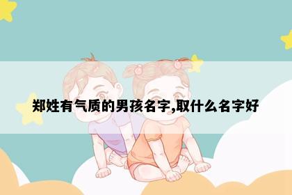 郑姓有气质的男孩名字,取什么名字好